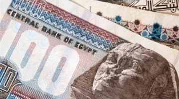 موعد الصرف معلن منتصف فبراير.. جاهزية المنظومة الإلكترونية للمرتبات